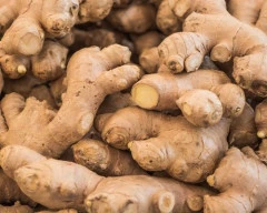 A Grade Quality Ginger for sale