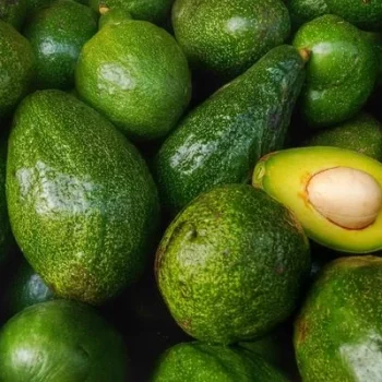 Hass Avocado