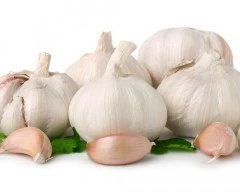 A Grade Quality Garlic