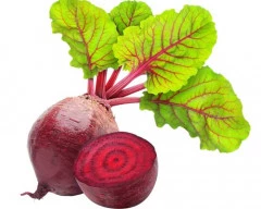 Normal Beetroot for sale