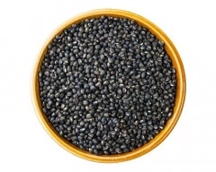 Black Urad for sale