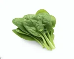 Normal Spinach