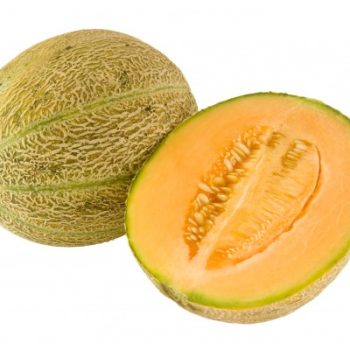 Musk Melon