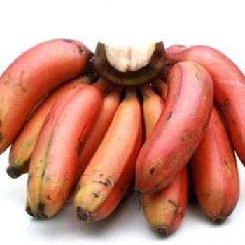 Banana Red