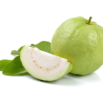 Red Diamond Guava
