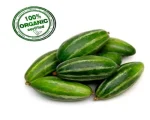 Normal Ivy gourd for sale