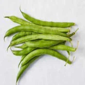 Normal French beans for sale
