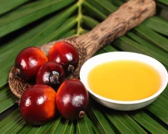 RBD Palm Oil for sale