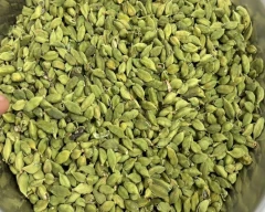 5 - 6MM Cardamom for sale