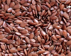 Normal Flax Seed for sale
