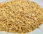 Refined wheat flour Maida for sale