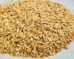 Refined wheat flour Maida for sale