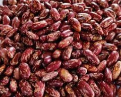 Chitra Rajma for sale