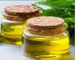 Organic Mentha Oil for sale