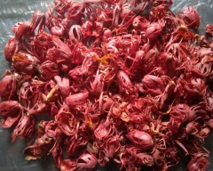 Full red Mace Flower for sale