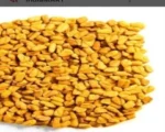 Normal Fenugreek for sale