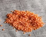 Indian Masoor Dal for sale