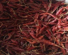 Dry Chilli for sale