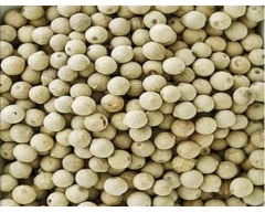 A Grade Quality White Pepper for sale