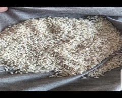 Normal Rice for sale