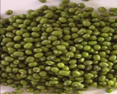 A Grade Quality Moong for sale