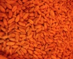 A Grade Quality Wheat for sale