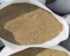 A Grade Quality Bajra for sale